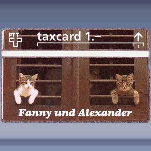 Fanny und Alexander (211L)